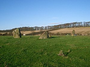 Tulliyies Standing Stones.jpg