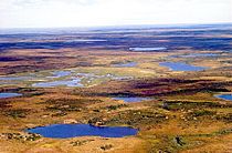 Tundra in Siberia