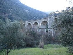 ViaductoViaVerdeSierraCadiz