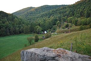 Wheeler, WV - Overlook