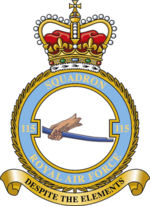 Squadron badge