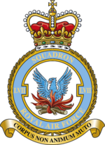 Squadron badge