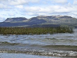 Abaconda lake tarawera