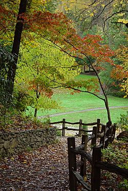 Asheville Botanical Gardens 2003