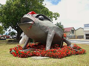 Big CaneToad