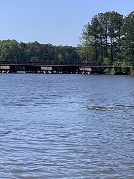 Bridge Peachtree Parkway.jpg