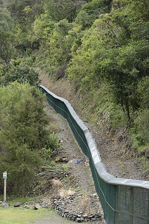 Brook Waimarama Sanctuary (29934817815)