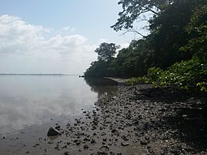 Bunce Island Beach