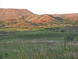 Canadian River Fritch