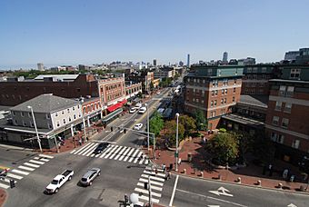 Central Square from above.jpg