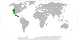 Cercocarpus distribution.svg