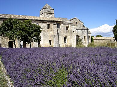 Chevet de Saint-Paul de Mausole