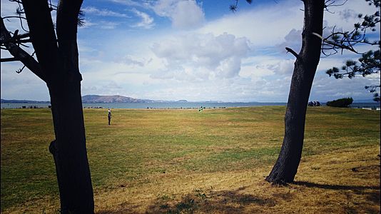 Coyote Point Meadow (27063754942)