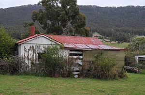 DOO TOWN, TASMANIA