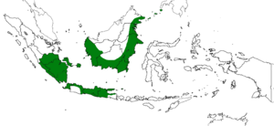 Demak extent