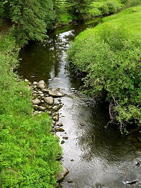 Edson River AB 1.JPG