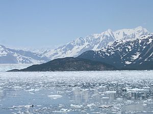 Haenke Island, Disenchantment Bay, Alaska