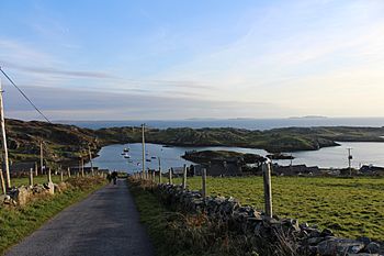 Inishbofin high up.jpg