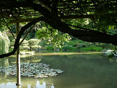 Japanese Garden - Seattle 04