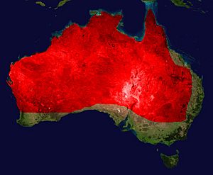 King Brown Mulga Range.jpg