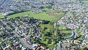 Kohuora Explosion Crater 2009