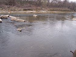 Lake Bosque