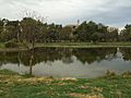 Lake in Park