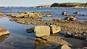 Little Bay Beach, New South Wales, Australia