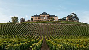 MK65027 Schloss Johannisberg (Rheingau).jpg