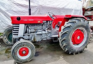 Massey Ferguson Tractor