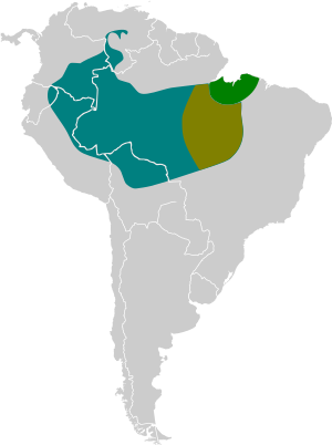 Psarocolius bifasciatus map.svg