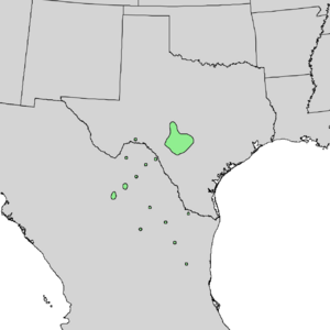 Quercus laceyi range map 1.png