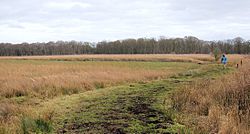 Redgrave Fen path