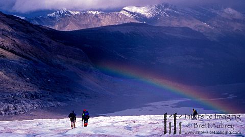 Saskatchewan Glacier & Parker Ridge