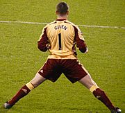 Shay Given back 2