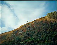 Slopes of Camaderry, Wicklow