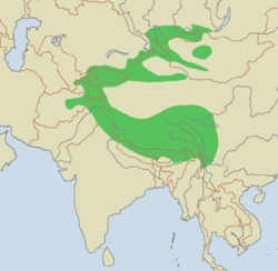 Snow leopard range.png