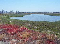 SteamShovelSlough