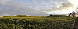 Sutton Hoo burial site.jpg