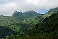 Top of El Yunque, from the Yokahú Tower, an observation tower built in 1963