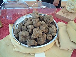 Truffles white Croatia