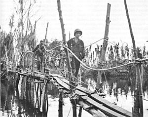 USA-P-Papua-p295 JAPANESE-BUILT BRIDGE to Buna Mission over Entrance Creek. milner