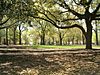 Old Campus District, University of South Carolina