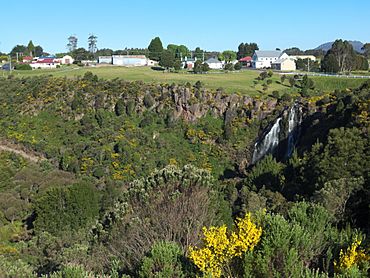 Waratah Falls 20171121-069.jpg