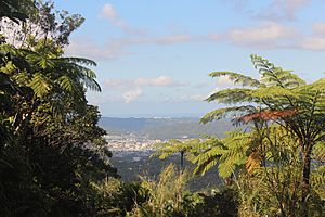 View of the valley from Tomás de Castro