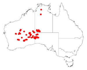 Acacia helmsianaDistMap425.png