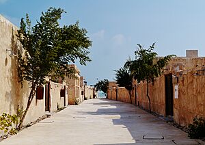 Al-Wakrah Old Souq 03