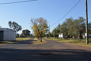 Albert Street, Parkville 001.jpg