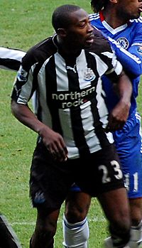 Ameobi