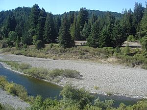 Little remains of Andersonia at the confluence of Indian Creek and the South Fork Eel River.